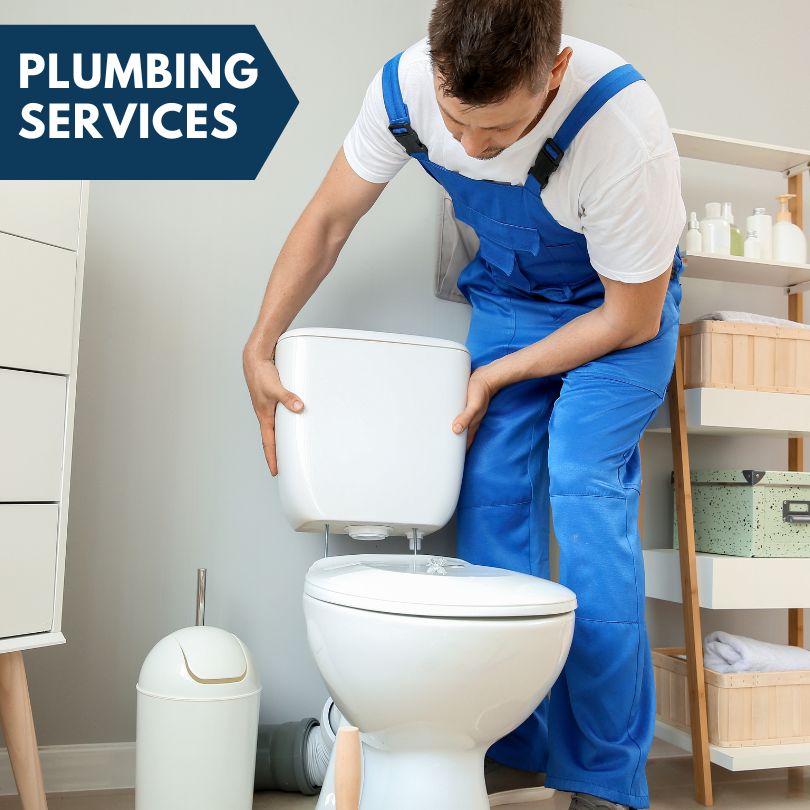 Plumbing Company in Hollister, NC